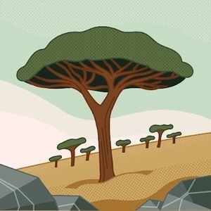 Meet your Posher, Calla